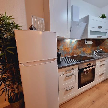 Lifestyle-Appartment Near Basf In Ludwigshafen מראה חיצוני תמונה