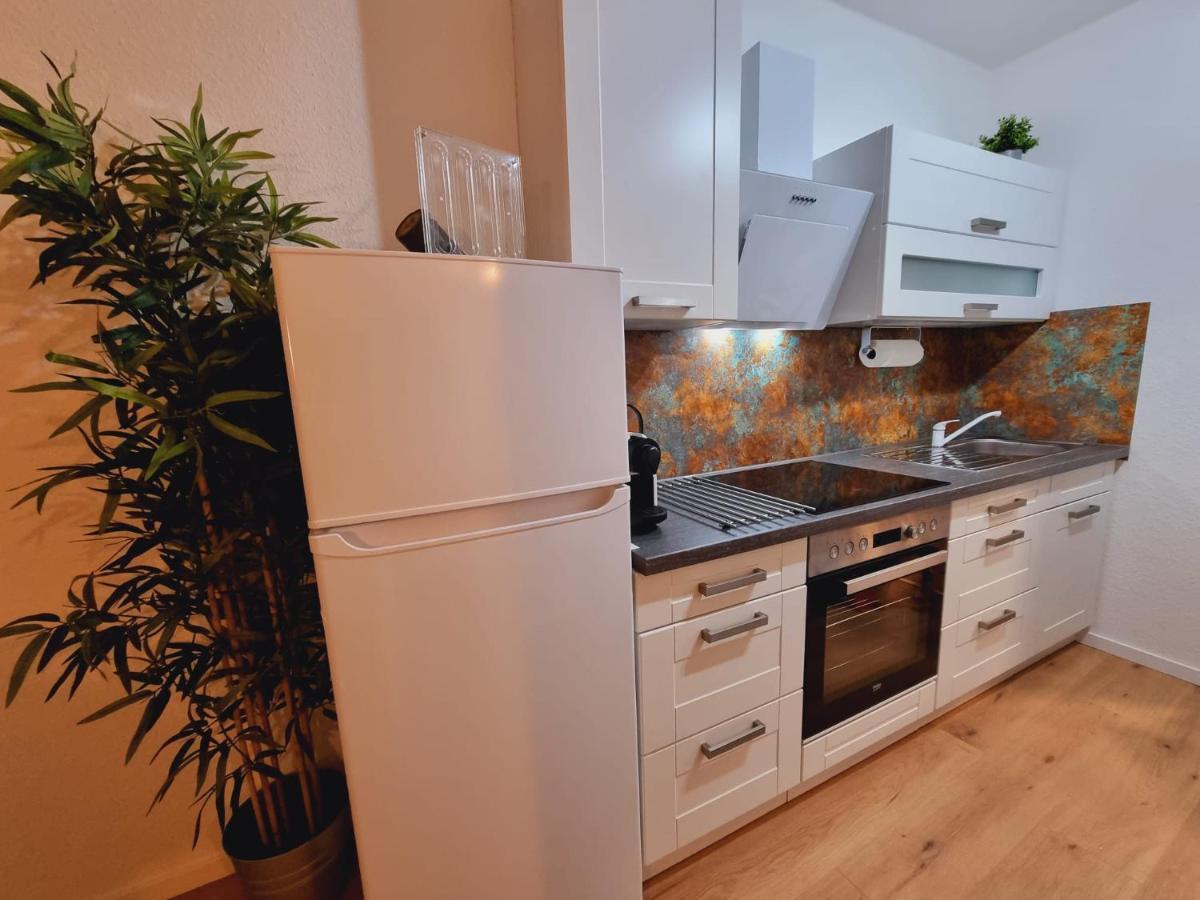 Lifestyle-Appartment Near Basf In Ludwigshafen מראה חיצוני תמונה