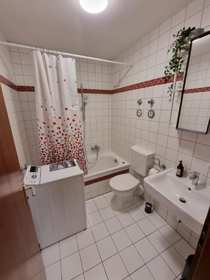 Lifestyle-Appartment Near Basf In Ludwigshafen מראה חיצוני תמונה